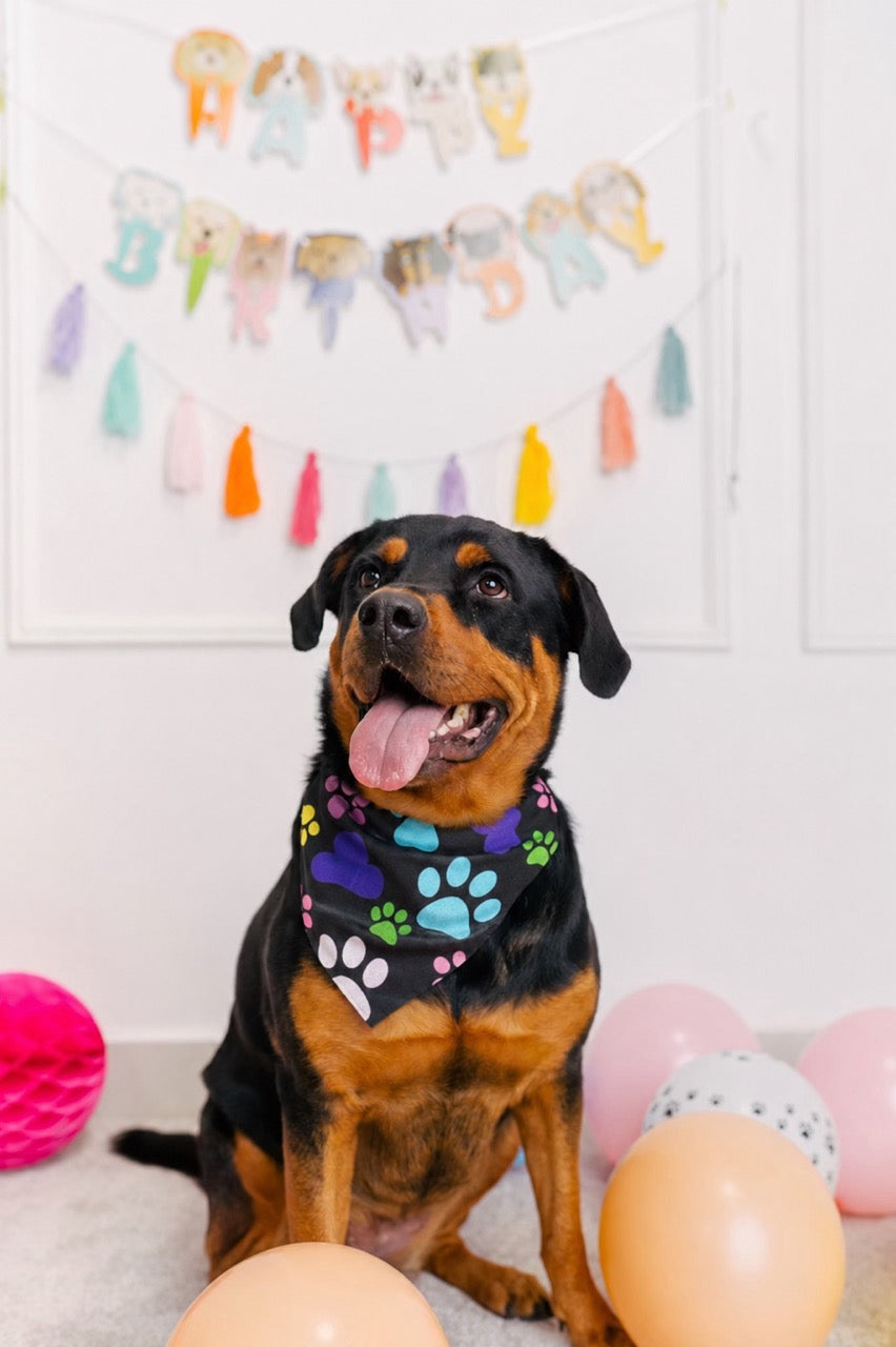Handmade Dog Bandana