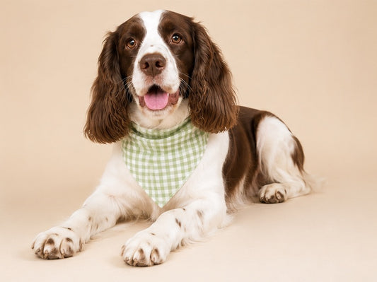 Handmade Dog Bandana