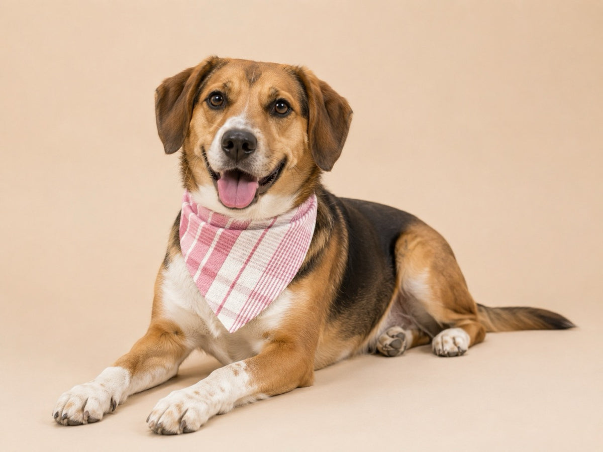 Handmade Dog Bandana