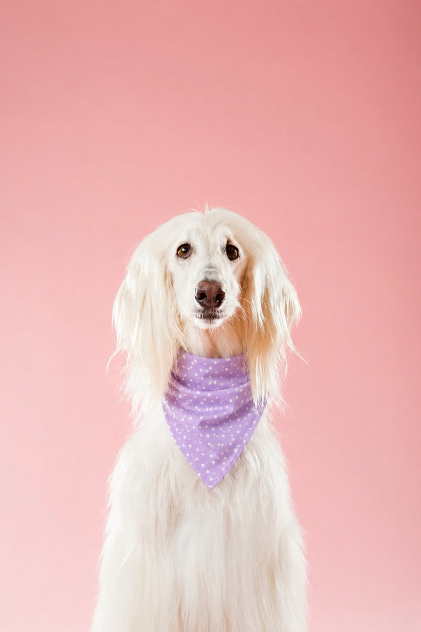 Handmade Dog Bandana