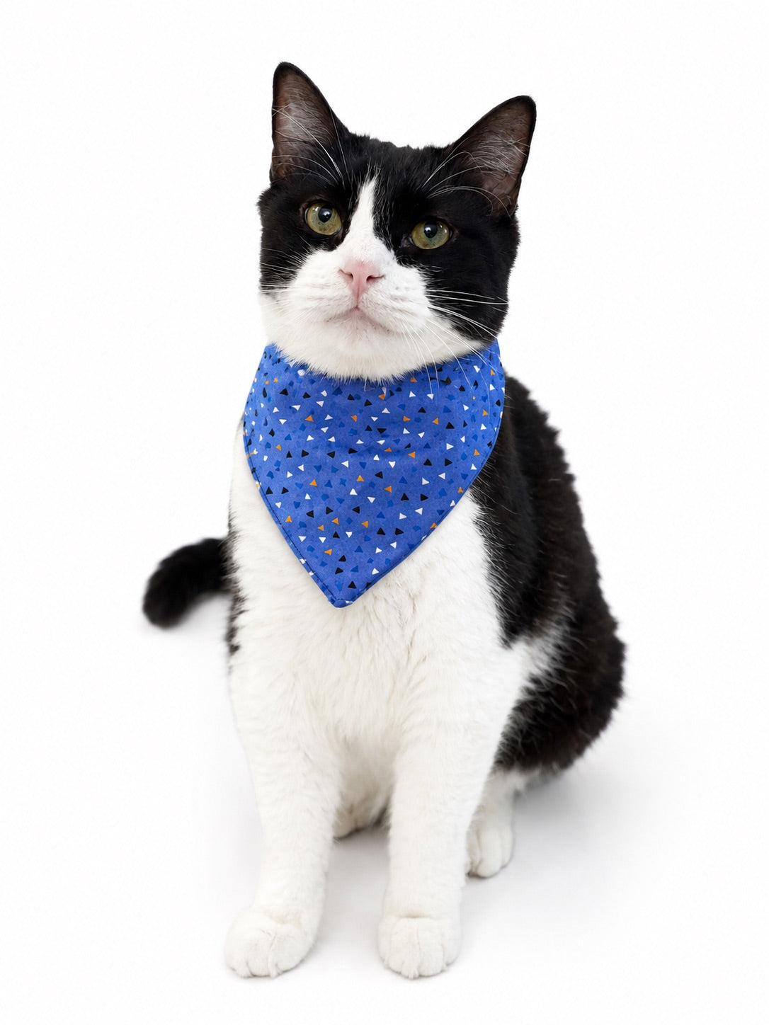 Cat Bandana